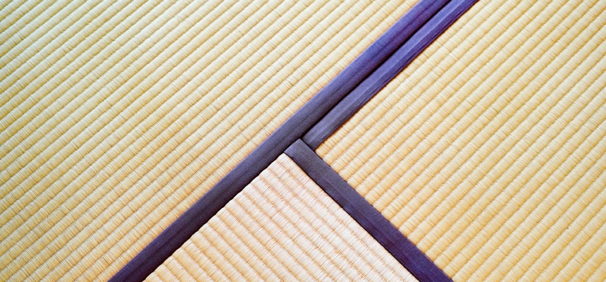 い草のメンテナンス