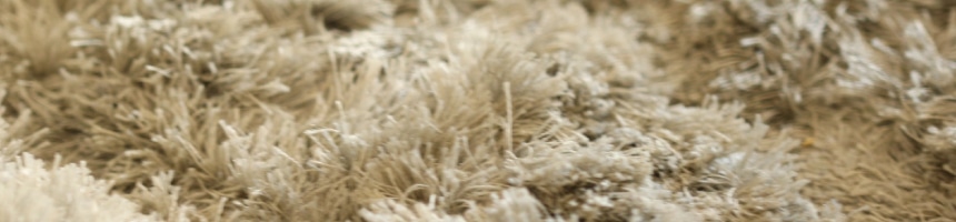 遊び毛ってなに？