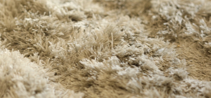 遊び毛ってなに？