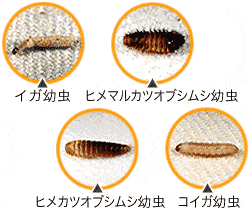 防虫剤の選び方 Howto情報 ホームセンター