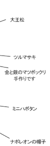 大王松と葉ボタンギャザリング