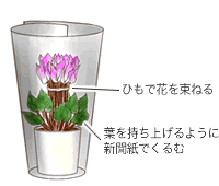 花のしおれ対策