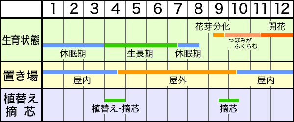 作業カレンダー