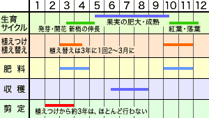 作業年間カレンダー