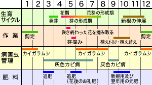 年間作業スケジュール