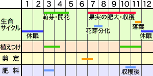 年間作業スケジュール