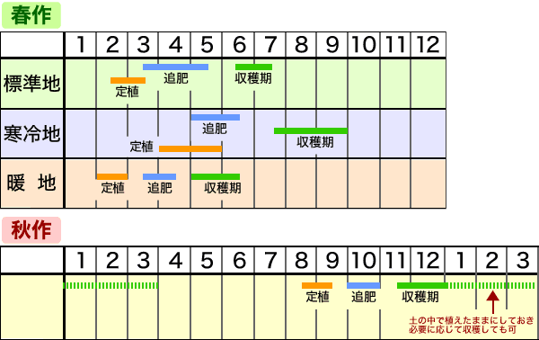 ジャガイモの作り方 Howto情報