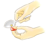 種をスプーンで取り除く