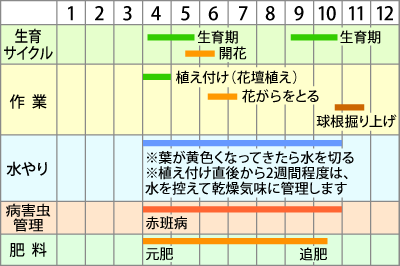 作業カレンダー