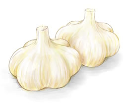 ニンニク