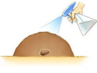 種まきの基本 Howto情報
