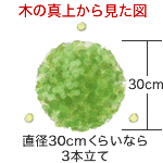 直径30cmくらいなら3本立て