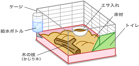 ケージの画像