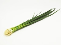 Howto情報 ワケギ 二十日ワケギ アサツキ作り方 ホームセンター