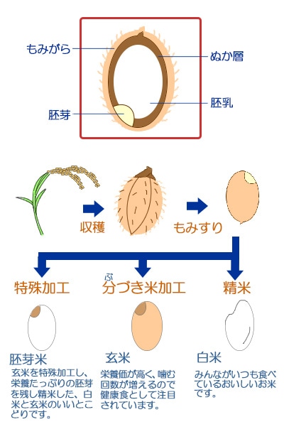 写真（精米：手順1）