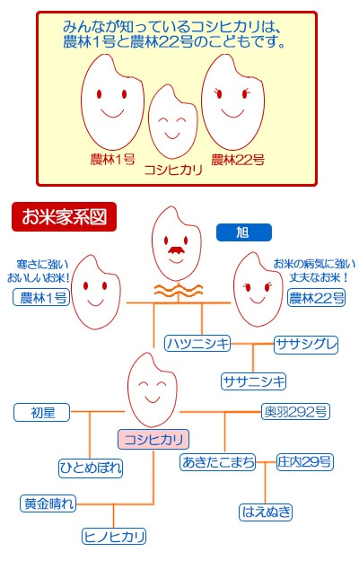 Howto情報 お米の豆知識 ホームセンター