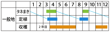 Howto情報 にらの育て方 ホームセンター