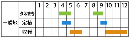 Howto情報 アスパラ菜の育て方 ホームセンター