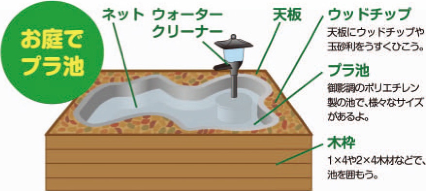 Howto情報 水槽 プラ池での錦鯉の飼い方 ホームセンター