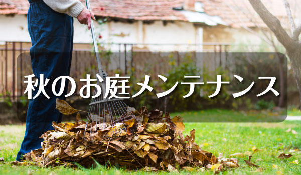 秋のお庭メンテナンス