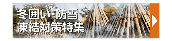 冬囲い・防雪・凍結対策特集
