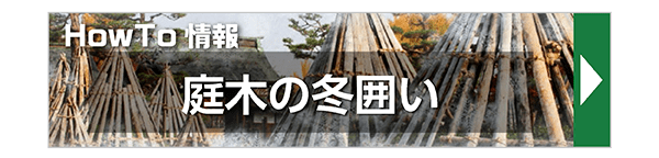 HowTo 庭木の冬囲い