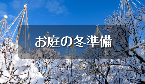 お庭の冬準備
