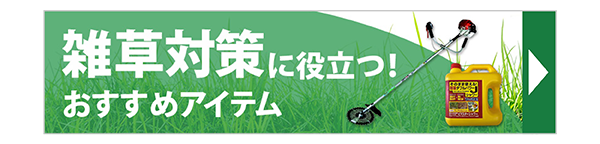 雑草対策に役立つ!おすすめアイテム