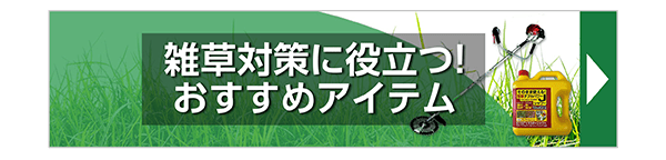 雑草対策に役立つおすすめアイテム