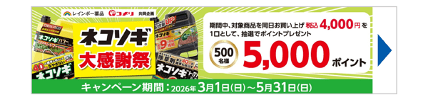 ネコソギキャンペーン