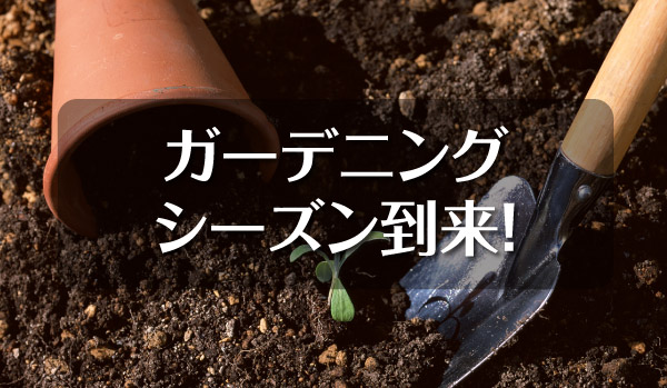 ガーデニングシーズン到来
