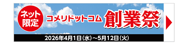 コメリドットコム創業祭
