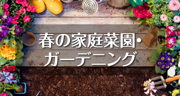 春の家庭菜園・ガーデニング