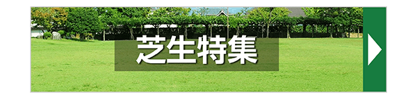芝生特集
