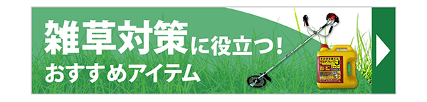 雑草対策に役立つ!おすすめアイテム