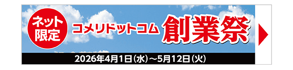 コメリドットコム創業祭