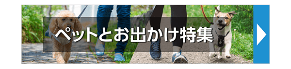 ペットとお出かけ特集