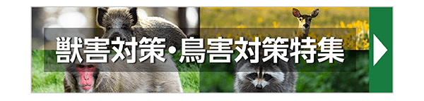 獣害対策・鳥害対策特集