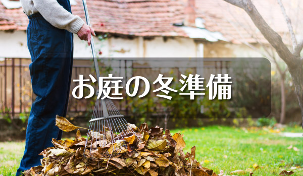 お庭の冬準備