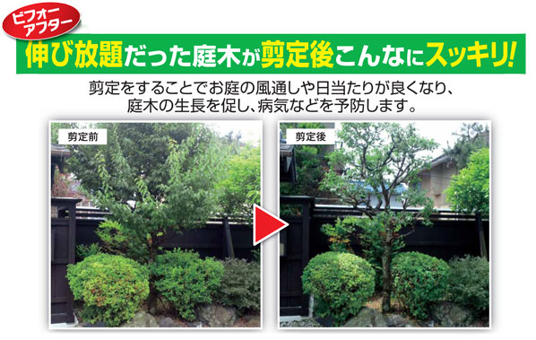 庭木の手入れ 住まいでのお困りをお任せ 便利サービス 住急番