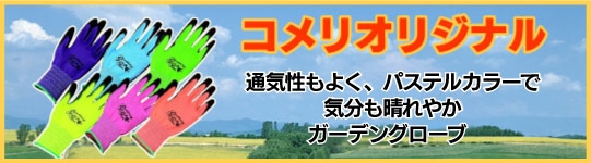 �R�����I���W�i���J���[�w�������