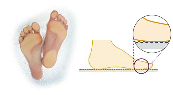 SELEVIA&(セレヴィア)特徴説明画像25