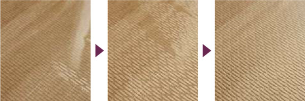 SELEVIA&(セレヴィア)特徴説明画像29