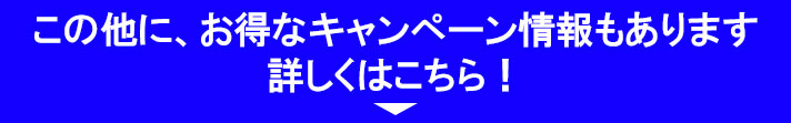 ���̑������L�����y�[��