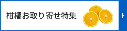 柑橘お取り寄せ特集