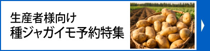 生産者様向け種ジャガイモ予約特集