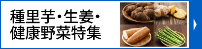 種里芋・生姜・健康野菜特集