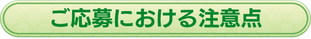 ご応募における注意点