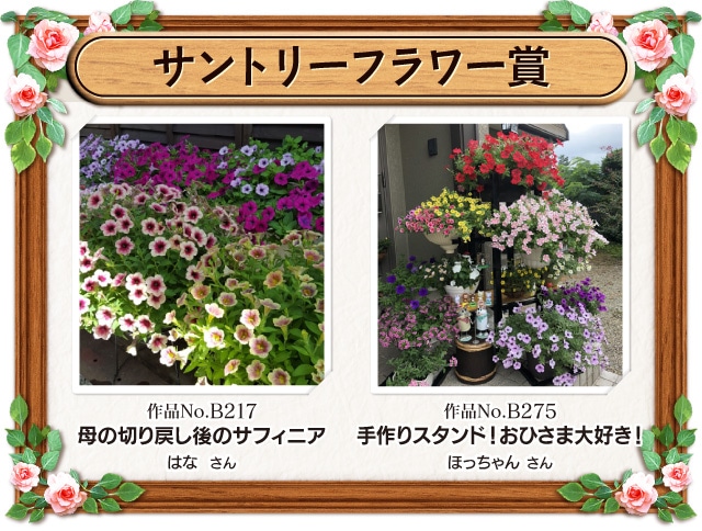 �T���g���[�t�����[��