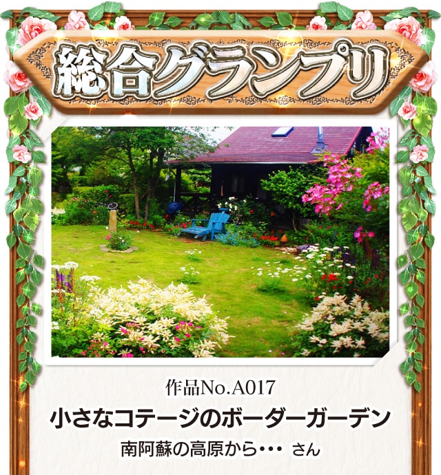 �����O�����v�� ��iNo.A017 �w�����ȃR�e�[�W�̃{�[�_�[�K�[�f���x �숢�h�̍�������E�E�E ����